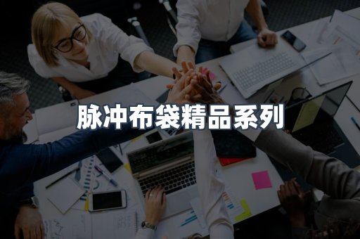 脉冲布袋精品系列