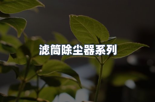 滤筒除尘器系列